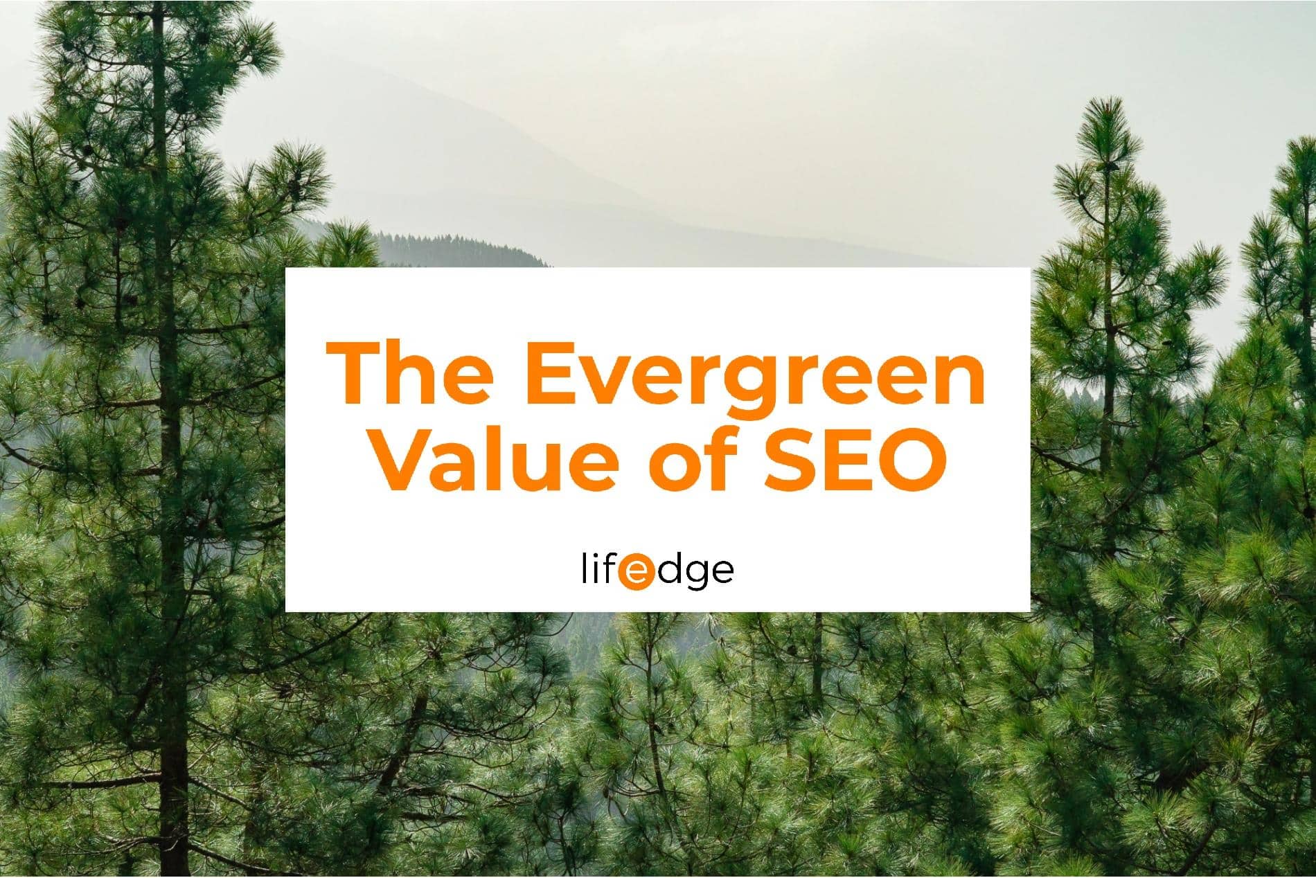Cover image for the article "The Evergreen Value Of Seo"