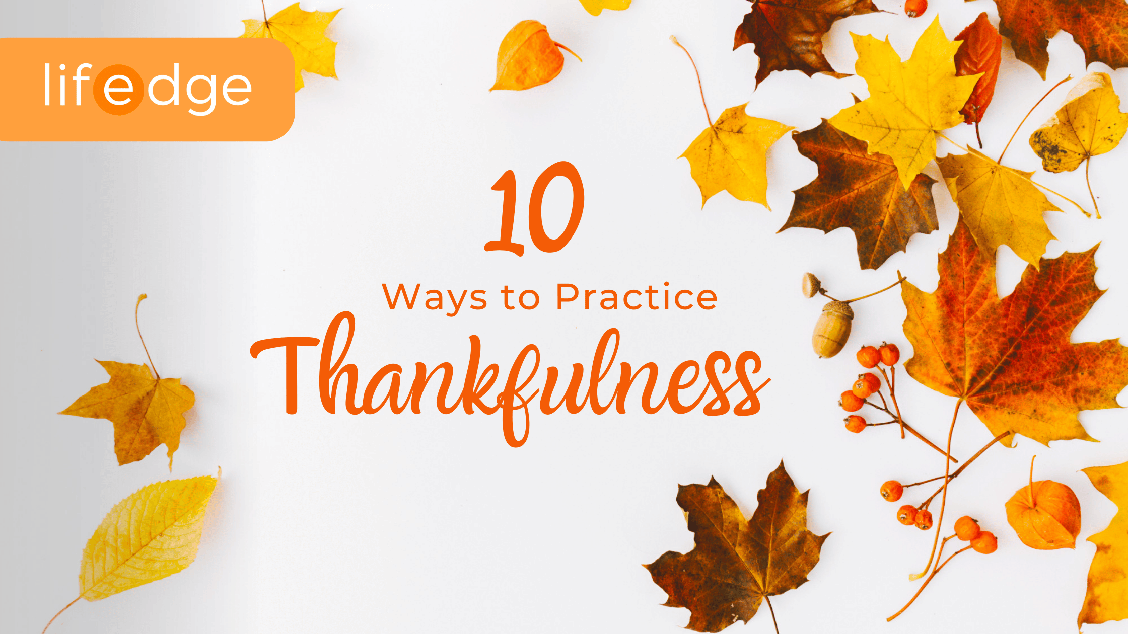 Cover image for the article "10 Ways To Practice Thankfulness"